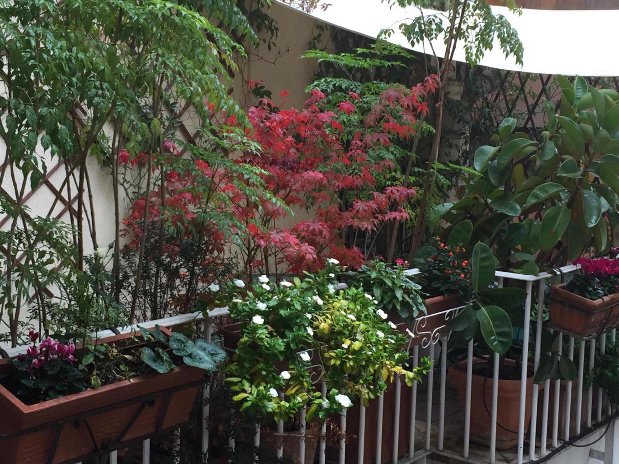 Relais Teatro Argentina Bed and Breakfast Ρώμη Εξωτερικό φωτογραφία
